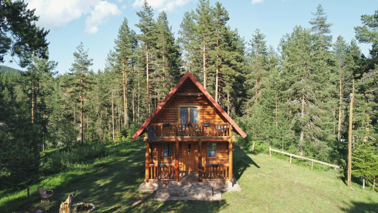 Holiday Home Aster Žabljak Buitenkant foto